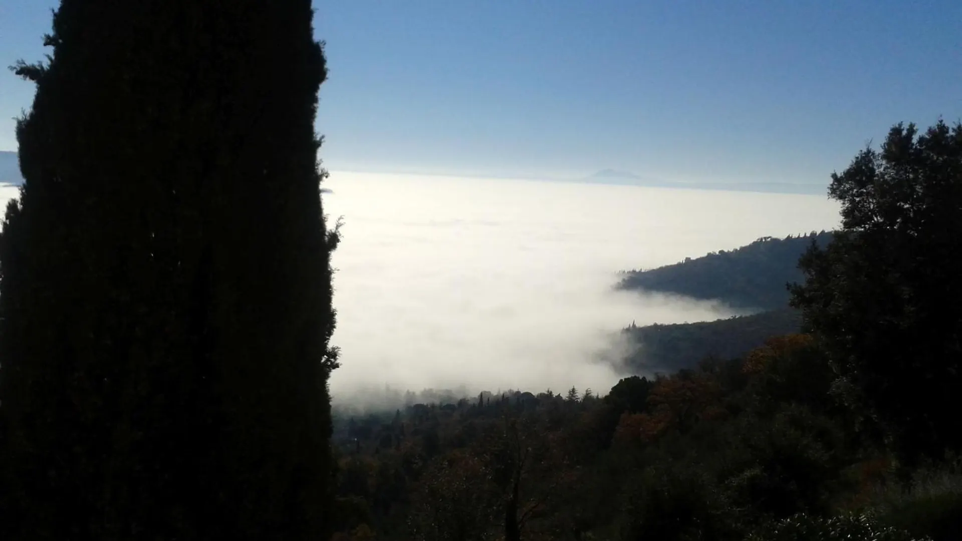 Villa Il Ponticello Cortona Italia